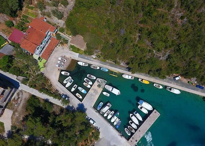 And Roko 招待所 Zaglav