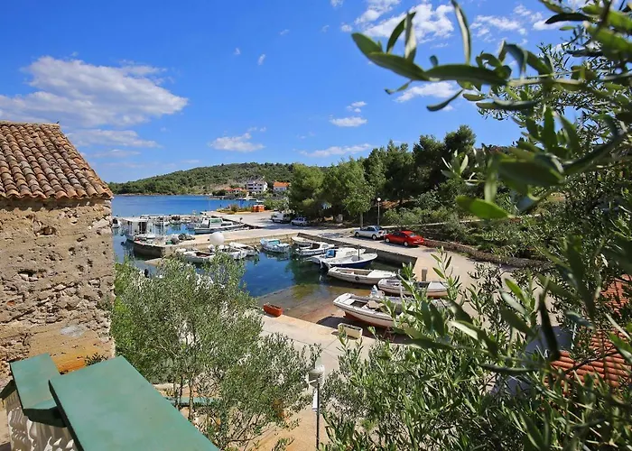 招待所 And Roko Zaglav