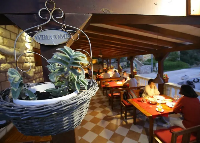 And Roko 招待所 Zaglav