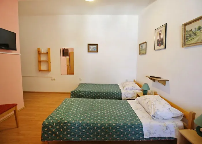 招待所 And Roko Zaglav